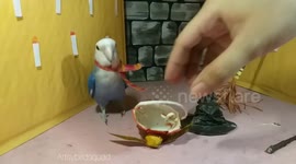 Cute Birds with costumes ready for Halloween