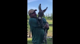 Baby Donkey, Oliver being rocked and sung to at 3 days old, What the World Needs Now.