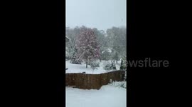 US: Snow Squall Warning Issued, More Than 6 Inches Of Snow Falls In Iowa