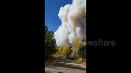 US: Cal-Wood Fire Breaks Out In Colorado, Prompting Evacuations And Road Closures 4