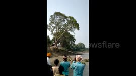 Watch the moment 100-year-old tree collapses into river after heavy flooding in India