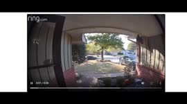 Tackling Husky To Save Him From Running Into The Road, Door Camera Video