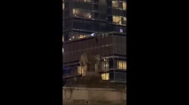 Man hanging outside trump tower