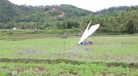 Paraglider crashes during landing in Indonesia rice-field