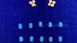 Custom officials seize gold worth $61086 at airport in southern India