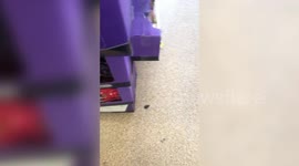 Disturbing video shows a man angrily refusing to wear a mask because: “Covid is a bacteria”