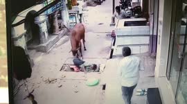 Man flung up into air by aggressive bull in southern India
