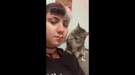 Petunia steals fries