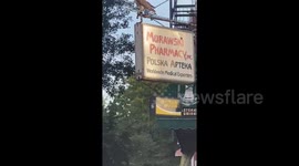 Hawk fighting pigeon in Brooklyn