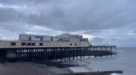 Starlings of Aberystwyth bursting out from under The Royal Pier in thousands