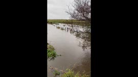 Homes evacuated after severe flooding hits Aberdeenshire, Scotland