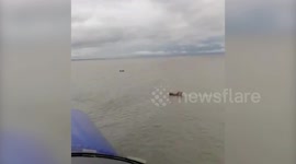 Coast Guard officials relay adverse weather warning, alert fishing vessels in eastern India