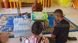 Adorable moment kitten tries to distract Buddhist monk saying prayers