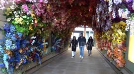 Floral rainbow arch creates a beautiful entrance to the Duke of York Square in the heart of Chelsea