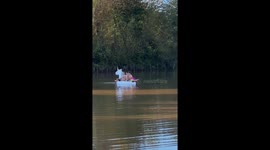 Jokers seen floating over flooded UK golf course on inflatable unicorn