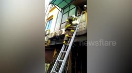 Pet dog rescued from burning building in Indonesia