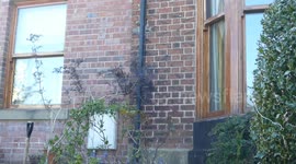house wall traditional climb