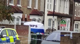 Murder probe launched after teenager stabbed to death in London