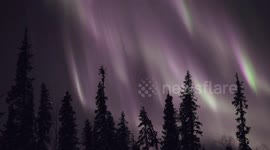 Mesmerising aurora: Stargazer searching for Northern Lights in Sweden captured this high-quality, realtime footage