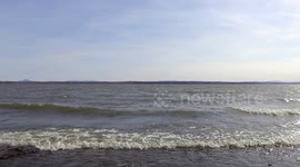 Amazing drone footage a flying birds in V formation over lake
