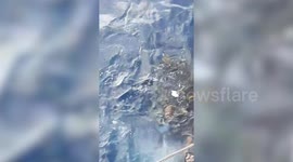 Thai fishermen rescue three turtles trapped in discarded net