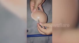 Lizard rescued after getting stuck on silicone bra