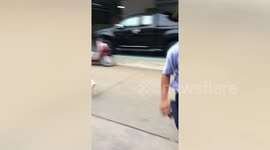 Chicken chases man down the road in Thailand