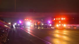 Pedestrian Killed and Motorist Injured in Brutal Freeway Crash