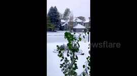 US: Warning Issued, October Winter Storm Brings Heavy Snow To Colorado 2