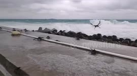 Crabs 'fly' onto shore as typhoon Saudel batters southern China's Woody Island