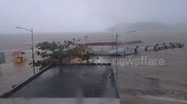 Typhoon Molave blows trees and debris in Philippine town