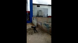 Street kids in Luanda, Angola perform impressive parkour tricks