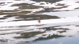 This beautiful video shows a daredevil diver who likes to swim in SUB ZERO WATER