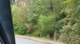 Long Queue For Early Voting at Dee Brown Library in Little Rock, Arkansas