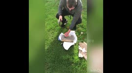 UK man gifts brother birthday present encased in concrete as part of running prank