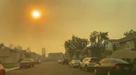 Heavy Santa Ana winds strongly hit Irvine, California, taking down trees and causing damages