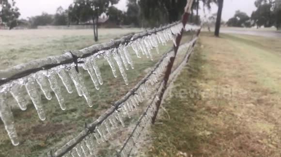 Winter storm Billy brings ice and frozen tumbleweed to Oklahoma City