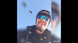Australian cyclist gets attacked by magpie with a vendetta