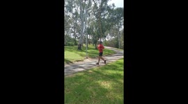 Magpie attacks man jogging in the park