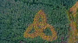 Beautiful autumn colours of the Celtic Trinity Knot in Sligo, Ireland