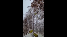 Amazing frozen trees in Oklahoma as record breaking late autumn freeze continues