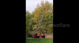 Belarusian firefighter removes opposition-linked red and white flag from tree