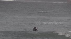 Surfing with Whales - Buffelsbaai - Garden Route - South Africa