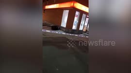 Violence erupts in Brooklyn over shooting of Walter Wallace