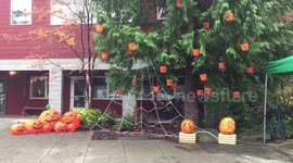 Halloween Houses Decorations In Seattle
