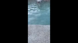 Enjoying Swim Time With Friends and Man Filter