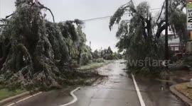 Ice storm downs trees In Oklahoma