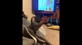 Daphne cozies up to watch Frosty The Snowman