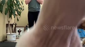 Yoga with Pets