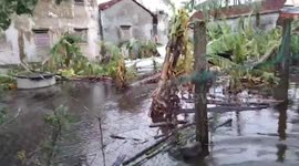 Typhoon Molave leaves trail of destruction in Vietnam
